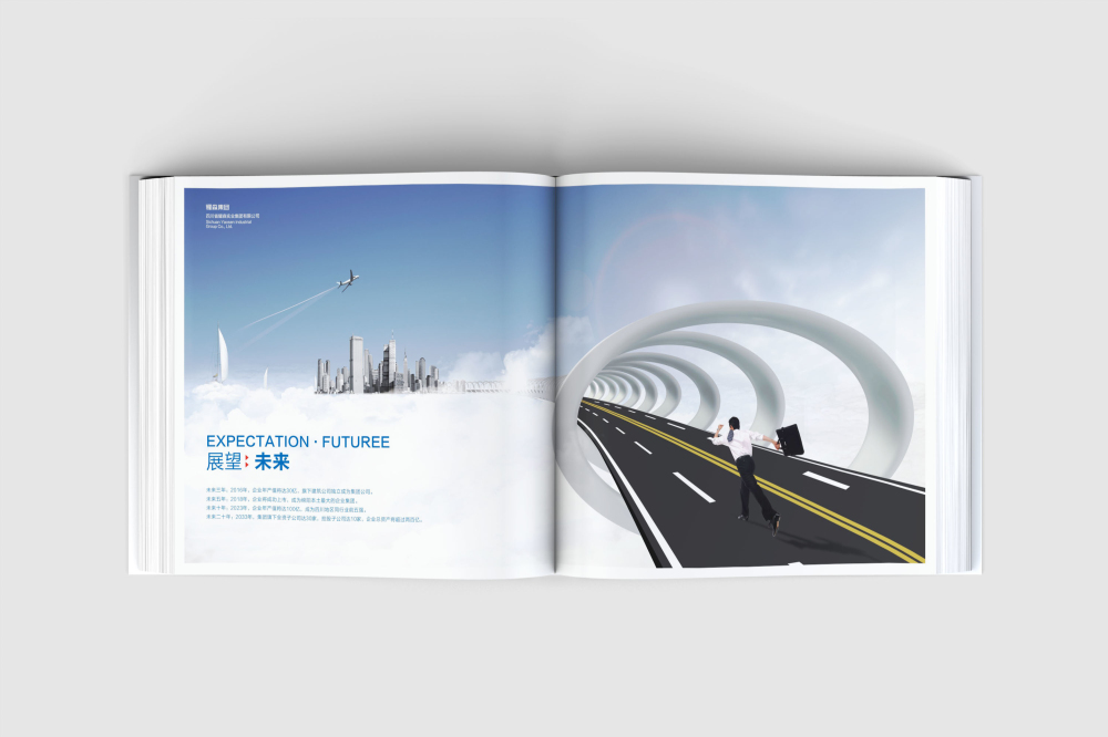 平塘县画册设计